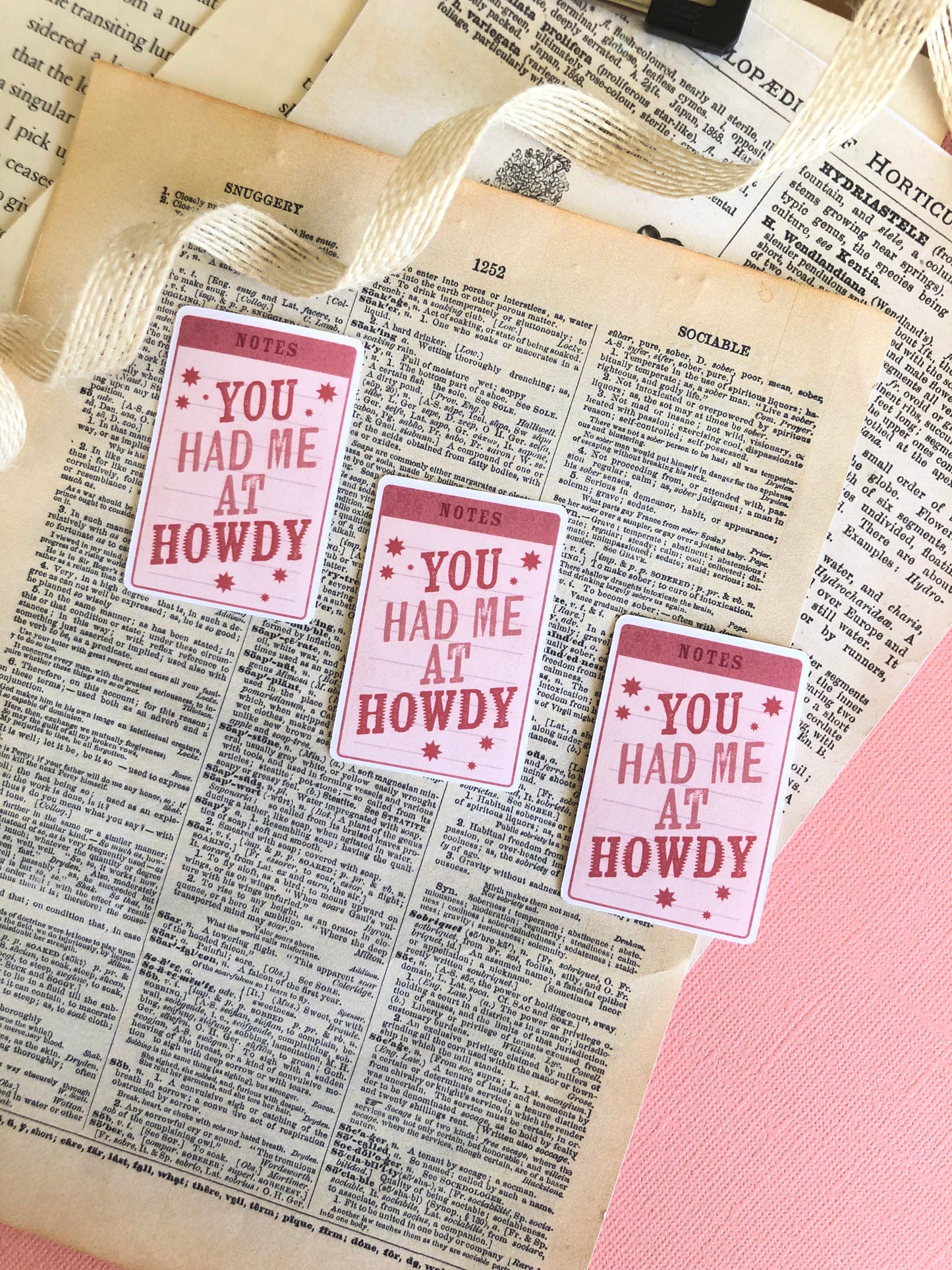 You Had Me at Howdy - Vinyl Sticker