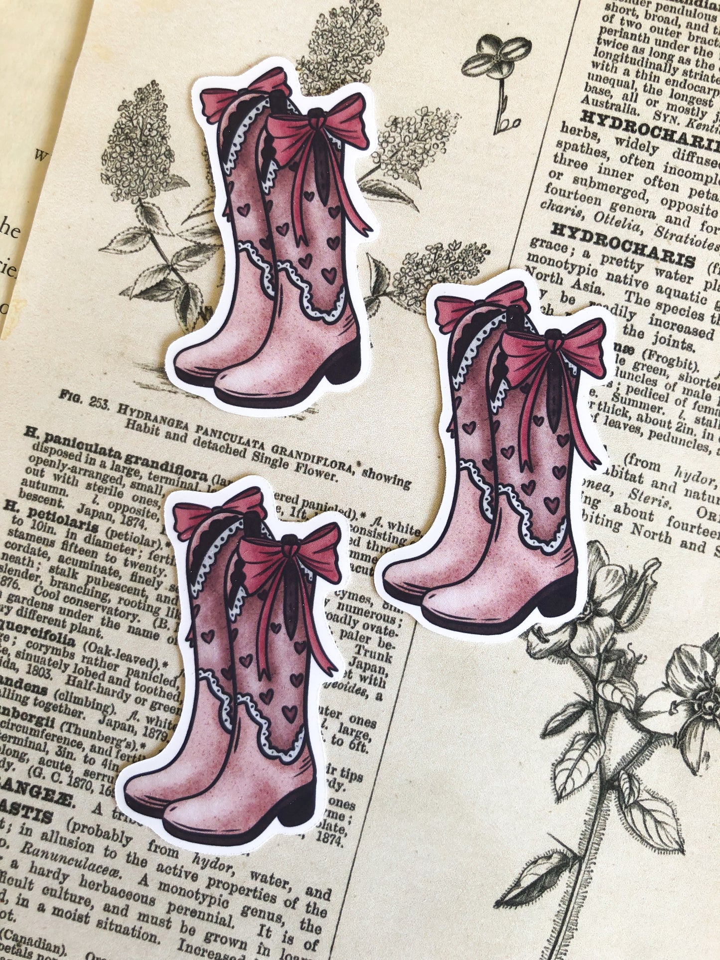 Cowboy Boots Collection - Vinyl Stickers