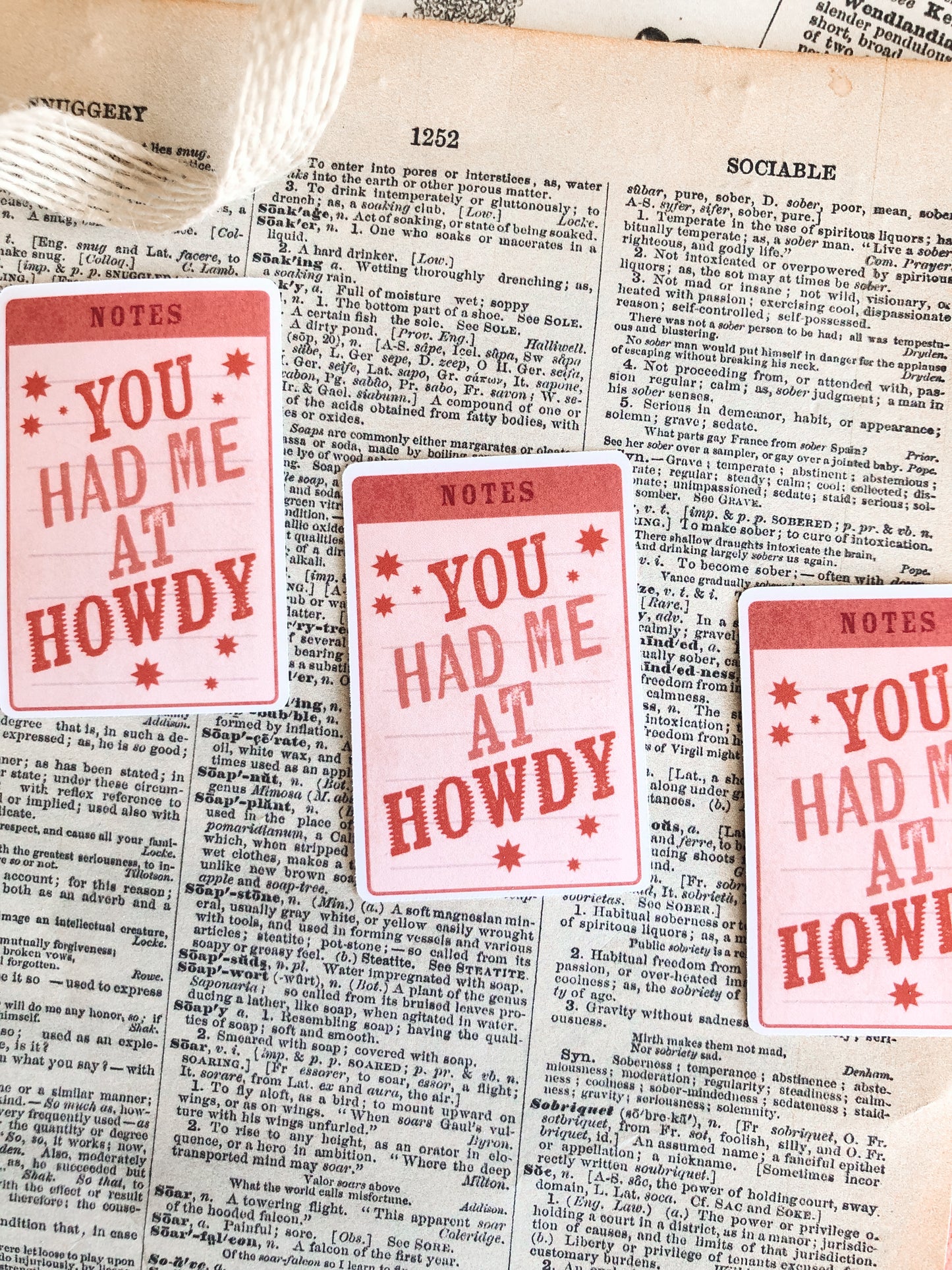 You Had Me at Howdy - Vinyl Sticker