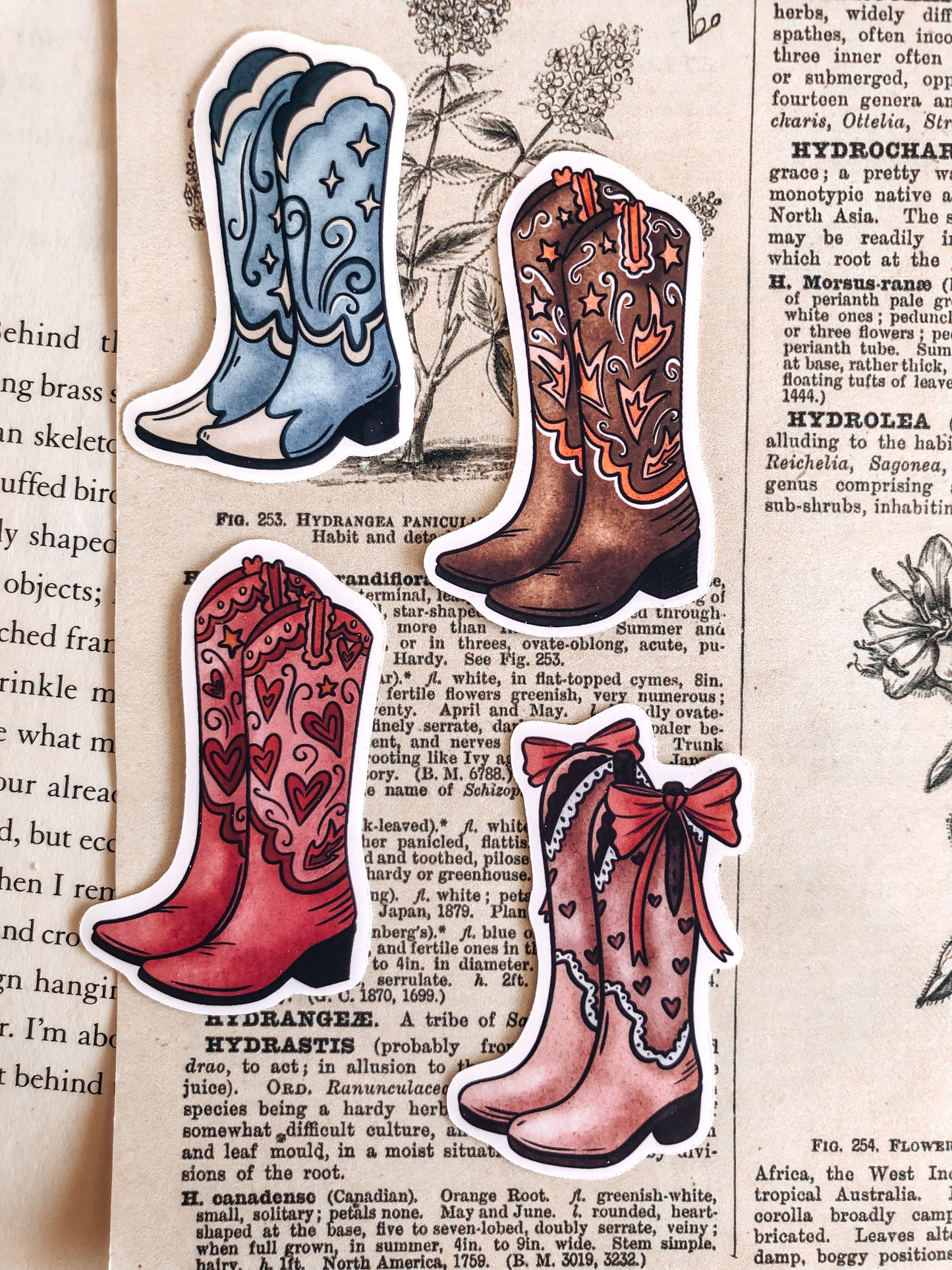 Cowboy Boots Collection - Vinyl Stickers