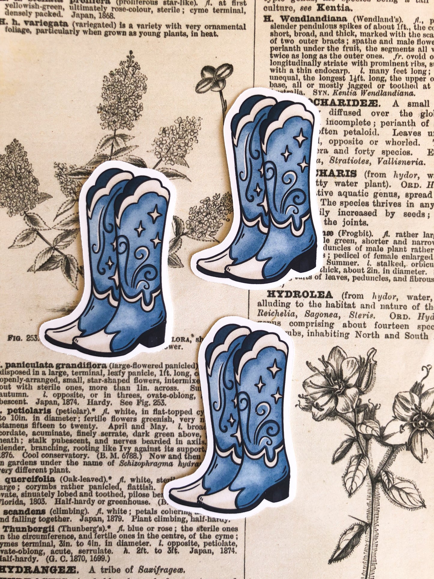 Cowboy Boots Collection - Vinyl Stickers